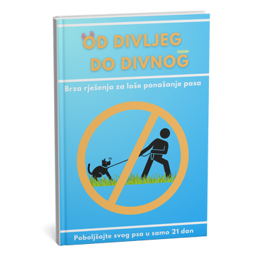 Potpuni vodič za nove vlasnike pasa: odgojite dobro odgojenog psa od prvog dana nadalje.